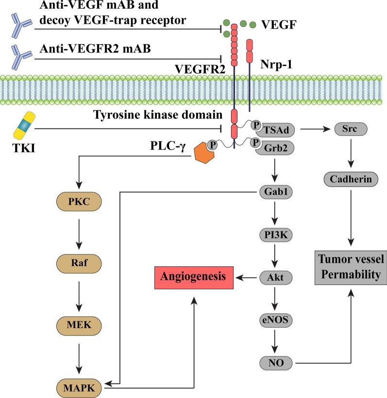 https://cdn.ncbi.nlm.nih.gov/pmc/blobs/bdfb/8991477/d7d91717eafd/12964_2022_838_Fig1_HTML.jpg