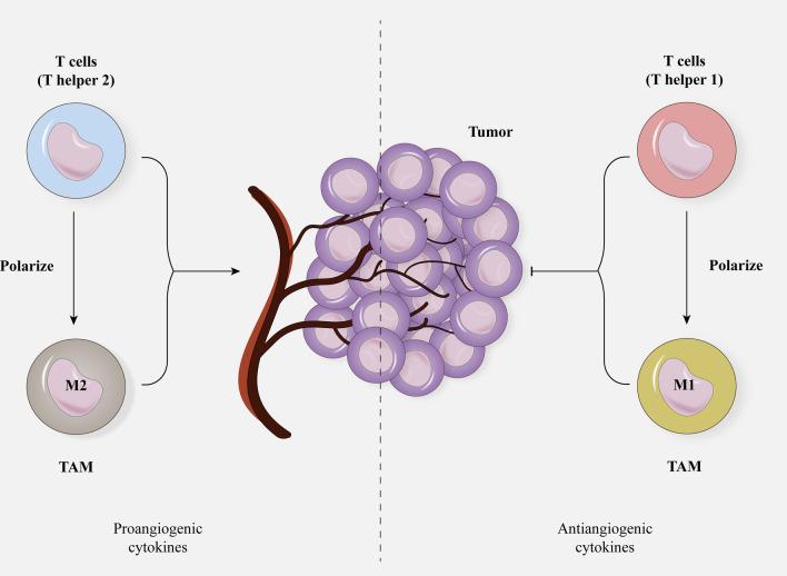 https://cdn.ncbi.nlm.nih.gov/pmc/blobs/bdfb/8991477/f2fde319803c/12964_2022_838_Fig2_HTML.jpg