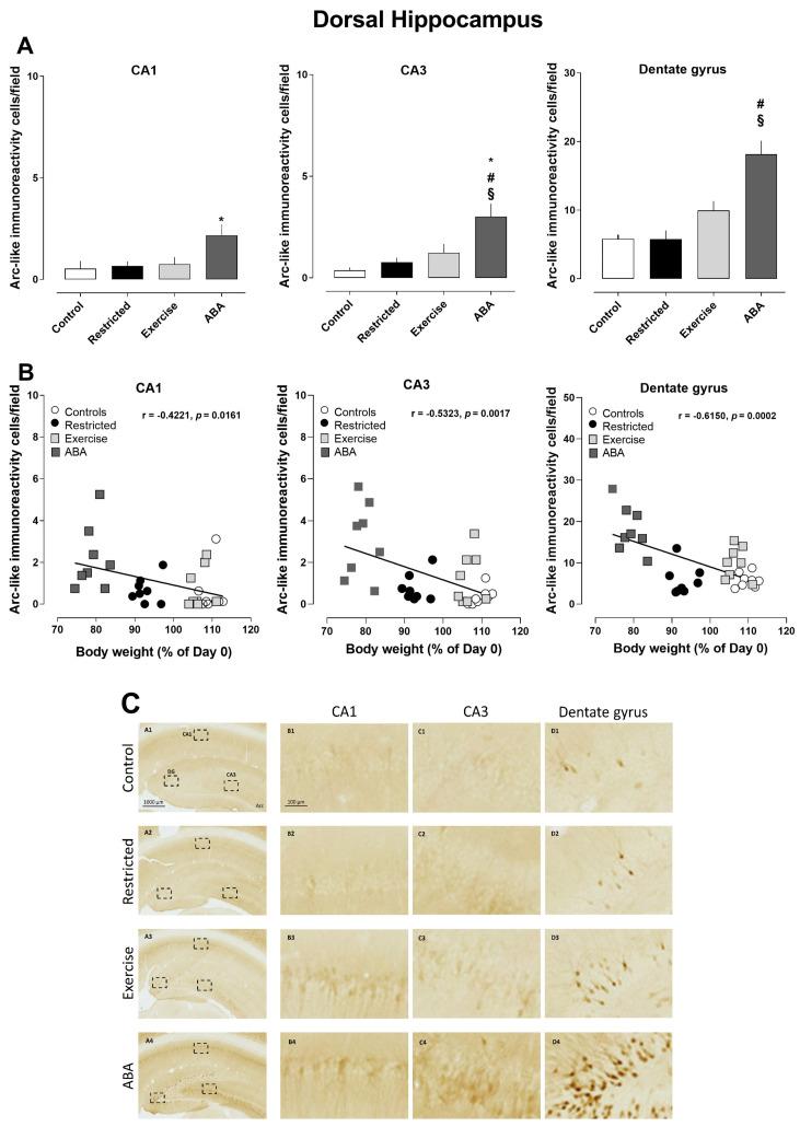 https://cdn.ncbi.nlm.nih.gov/pmc/blobs/bdfc/10490422/1f0521bfe1b1/nutrients-15-03830-g003.jpg