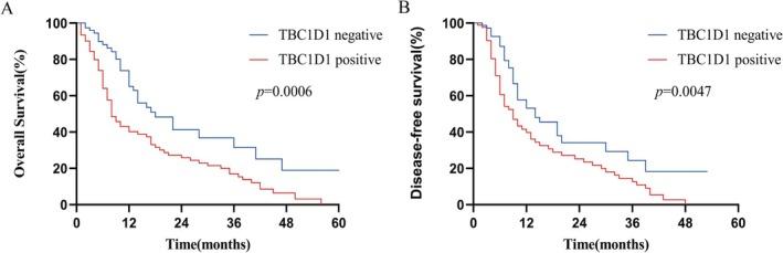 https://cdn.ncbi.nlm.nih.gov/pmc/blobs/bdfc/12239688/95c97639e202/FBA2-7-e70034-g006.jpg