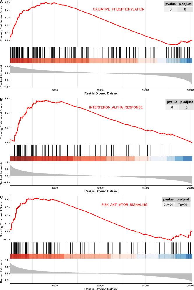 https://cdn.ncbi.nlm.nih.gov/pmc/blobs/bdfc/8166116/7e6ffd884113/12967_2021_2913_Fig8_HTML.jpg