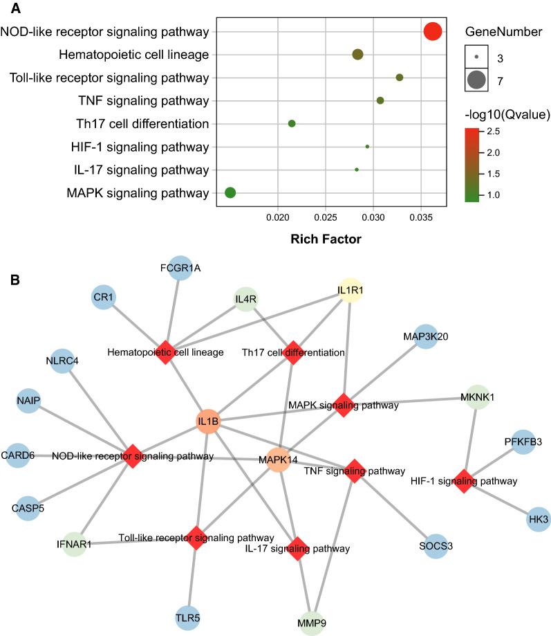 https://cdn.ncbi.nlm.nih.gov/pmc/blobs/bdfc/8166116/87f4e9b7a631/12967_2021_2913_Fig3_HTML.jpg