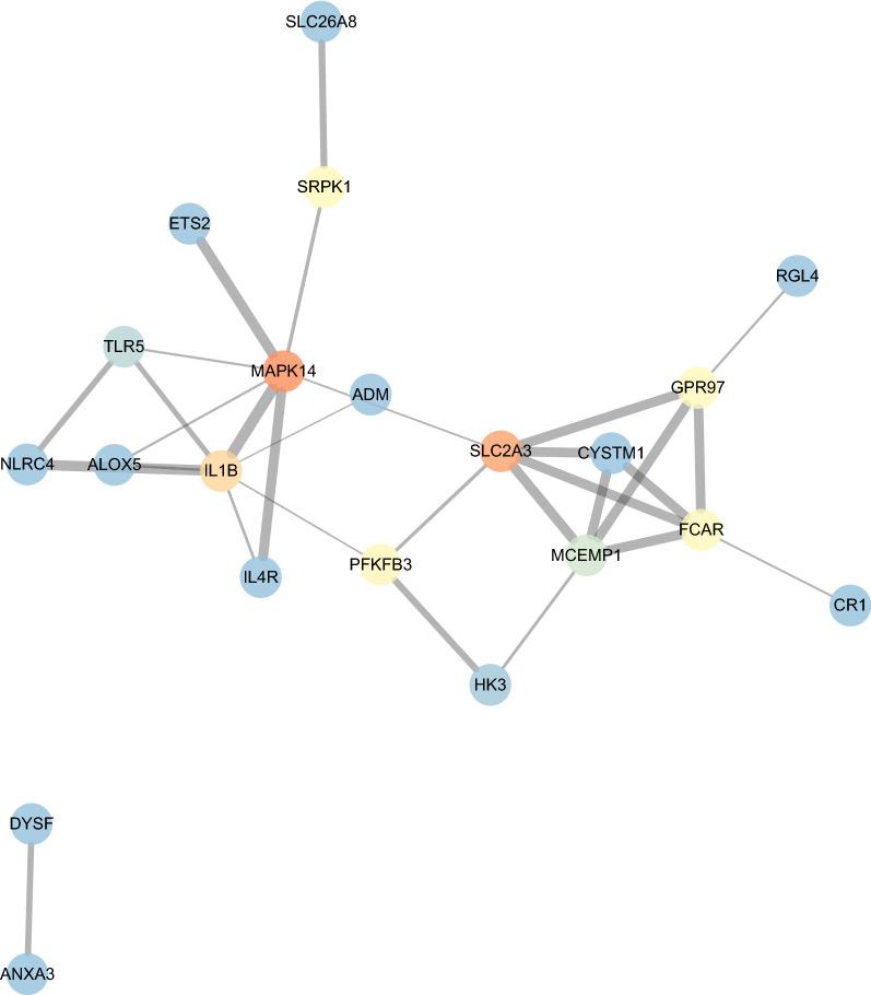 https://cdn.ncbi.nlm.nih.gov/pmc/blobs/bdfc/8166116/8828bc260688/12967_2021_2913_Fig4_HTML.jpg