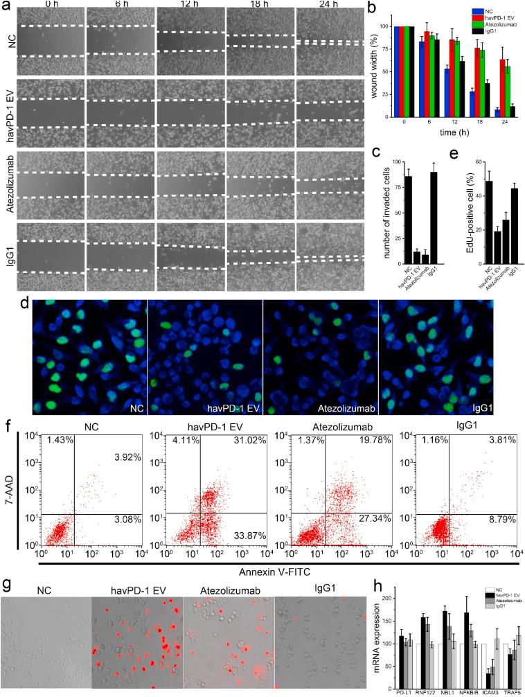 https://cdn.ncbi.nlm.nih.gov/pmc/blobs/bdfd/8586263/d4788d0fd58d/gr4.jpg