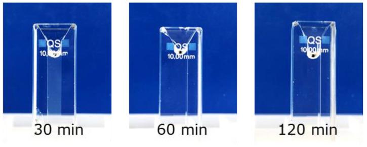 https://cdn.ncbi.nlm.nih.gov/pmc/blobs/bdfd/9865271/3f919e9e0ae7/polymers-15-00294-g002.jpg