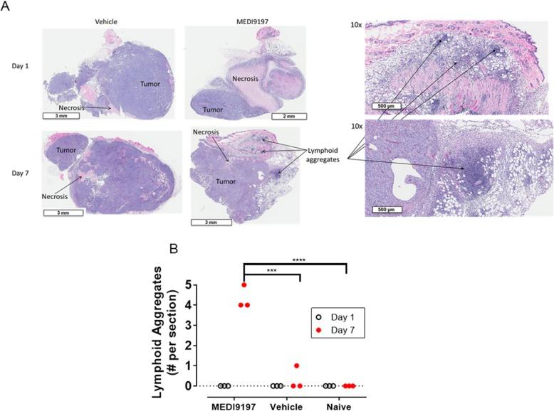 https://cdn.ncbi.nlm.nih.gov/pmc/blobs/bdfe/6739946/8f141f98504e/40425_2019_724_Fig4_HTML.jpg
