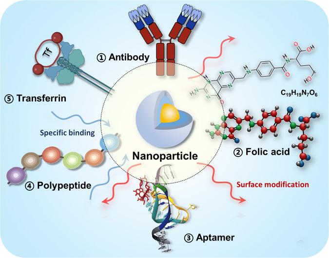 https://cdn.ncbi.nlm.nih.gov/pmc/blobs/bdff/10622502/a6e4ac5fce96/41392_2023_1642_Fig4_HTML.jpg