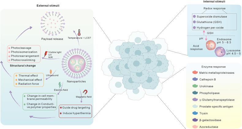 https://cdn.ncbi.nlm.nih.gov/pmc/blobs/bdff/10622502/b65b92de4219/41392_2023_1642_Fig3_HTML.jpg