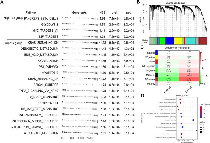 https://cdn.ncbi.nlm.nih.gov/pmc/blobs/bdff/9061945/10a1d2d7ffae/fmolb-09-872932-g006.jpg