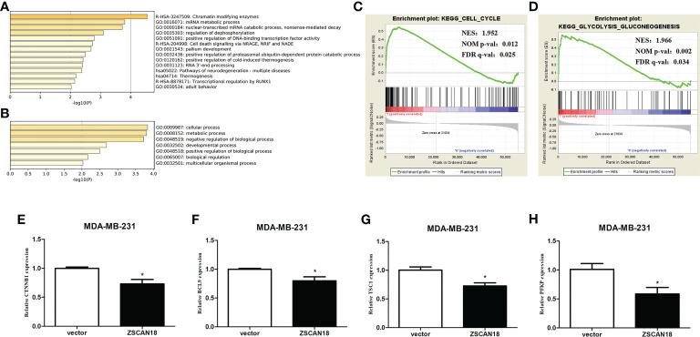 https://cdn.ncbi.nlm.nih.gov/pmc/blobs/be04/10200902/57902ebed2cf/fendo-14-1095604-g005.jpg