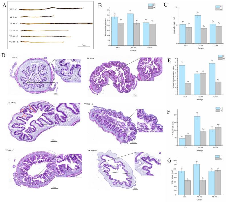 https://cdn.ncbi.nlm.nih.gov/pmc/blobs/be04/12383922/10222f96d772/biology-14-01008-g001.jpg