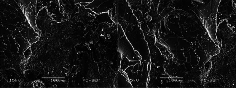 https://cdn.ncbi.nlm.nih.gov/pmc/blobs/be05/11223520/4fadec8db7ff/ao4c03240_0003.jpg