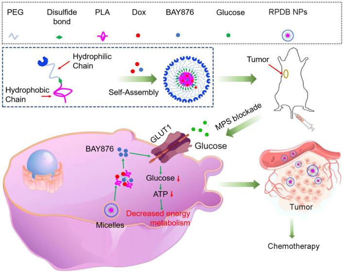 https://cdn.ncbi.nlm.nih.gov/pmc/blobs/be06/12006136/478445944102/fbioe-13-1549101-g001.jpg