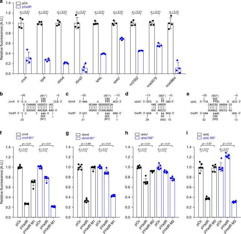 https://cdn.ncbi.nlm.nih.gov/pmc/blobs/be07/7695739/64253b38b795/41467_2020_19890_Fig3_HTML.jpg