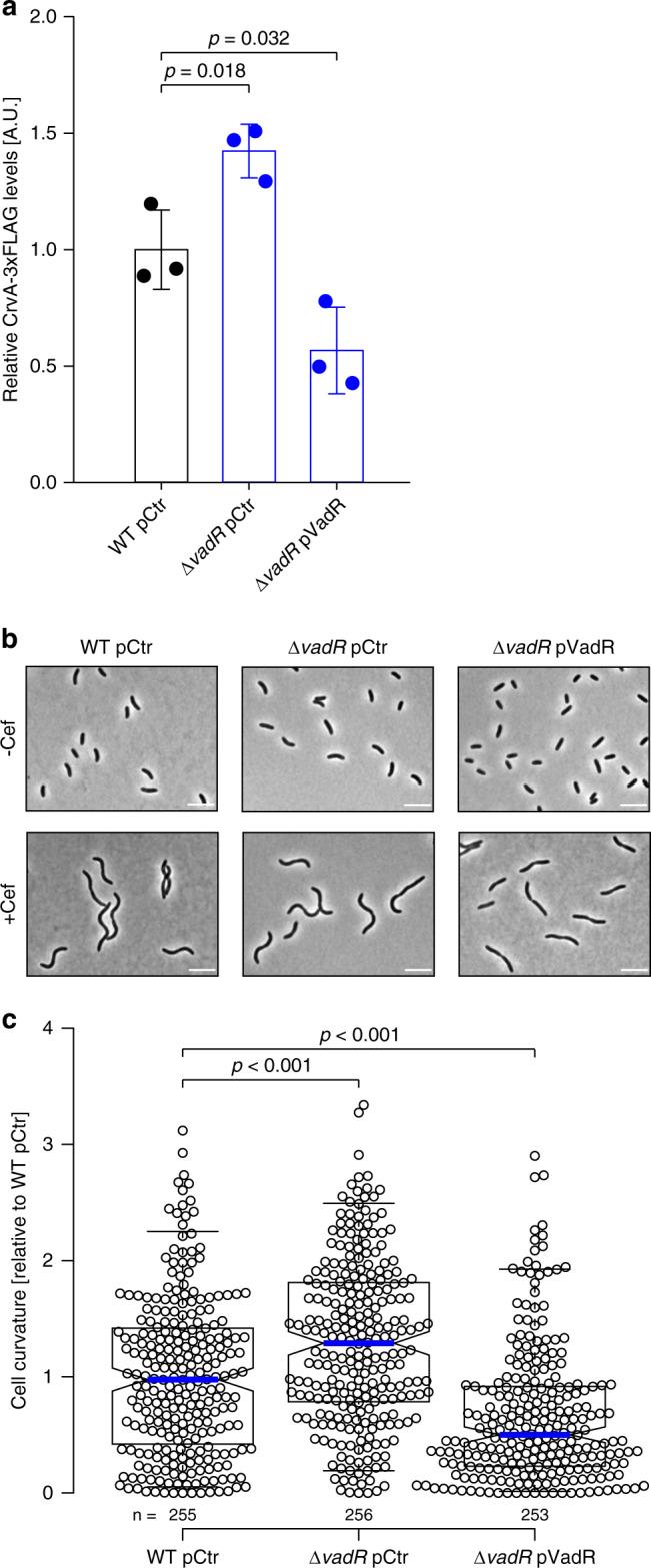 https://cdn.ncbi.nlm.nih.gov/pmc/blobs/be07/7695739/b5d092cf4823/41467_2020_19890_Fig4_HTML.jpg