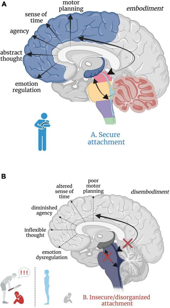 https://cdn.ncbi.nlm.nih.gov/pmc/blobs/be09/9720153/015490647743/fnins-16-1015749-g005.jpg