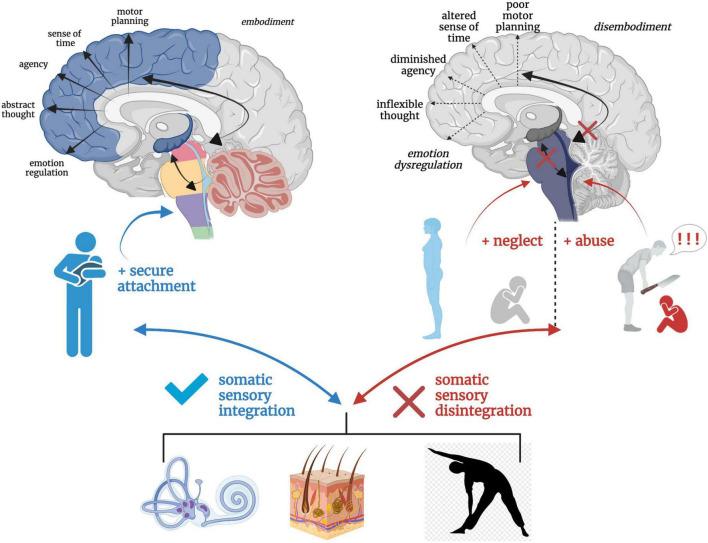 https://cdn.ncbi.nlm.nih.gov/pmc/blobs/be09/9720153/88c7582f22d1/fnins-16-1015749-g008.jpg