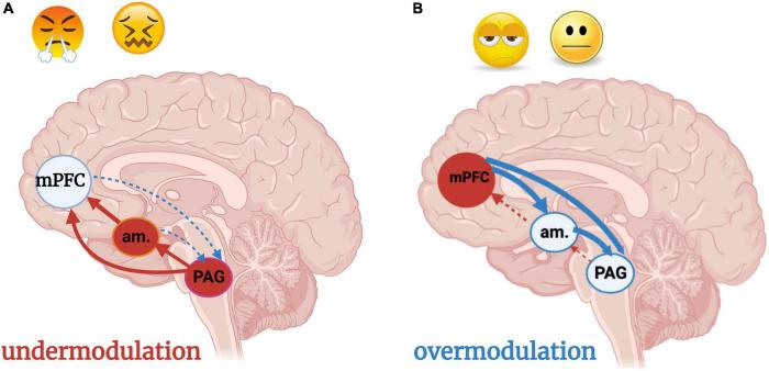 https://cdn.ncbi.nlm.nih.gov/pmc/blobs/be09/9720153/b6e31ffd7f96/fnins-16-1015749-g009.jpg
