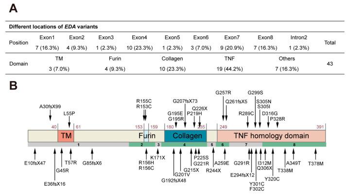 https://cdn.ncbi.nlm.nih.gov/pmc/blobs/be0a/11477375/ff3d2e19937a/ijms-25-10451-g002.jpg