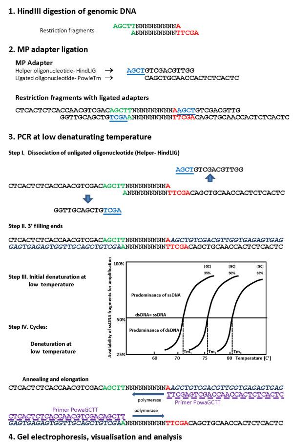 https://cdn.ncbi.nlm.nih.gov/pmc/blobs/be0b/2778650/b1ae0330149a/1471-2334-9-177-1.jpg