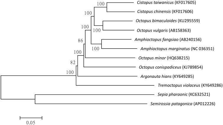 https://cdn.ncbi.nlm.nih.gov/pmc/blobs/be0c/7799641/e22d32bd5d30/TMDN_A_1532347_F0001_B.jpg