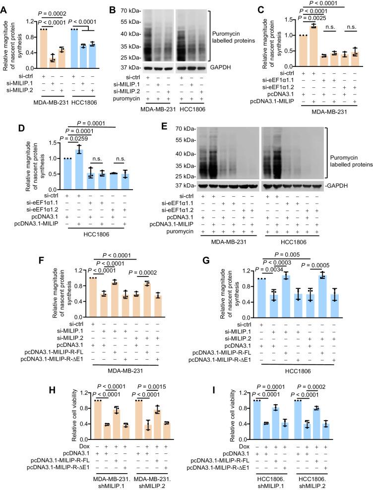 https://cdn.ncbi.nlm.nih.gov/pmc/blobs/be0d/11063688/2e3a713bad3d/1460fig3.jpg