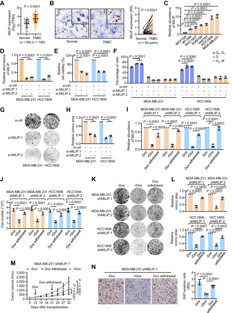 https://cdn.ncbi.nlm.nih.gov/pmc/blobs/be0d/11063688/69516eb5b29e/1460fig1.jpg