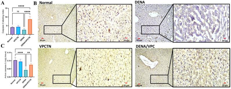 https://cdn.ncbi.nlm.nih.gov/pmc/blobs/be0e/11527275/5a3985ea7c73/pone.0312572.g008.jpg