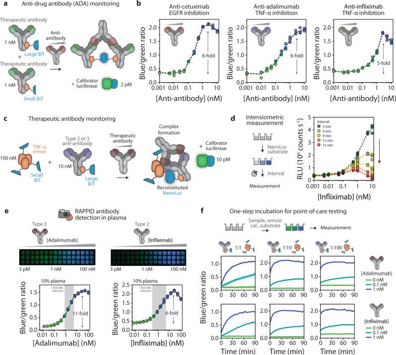 https://cdn.ncbi.nlm.nih.gov/pmc/blobs/be0e/8319308/4fc71e1067bb/41467_2021_24874_Fig4_HTML.jpg