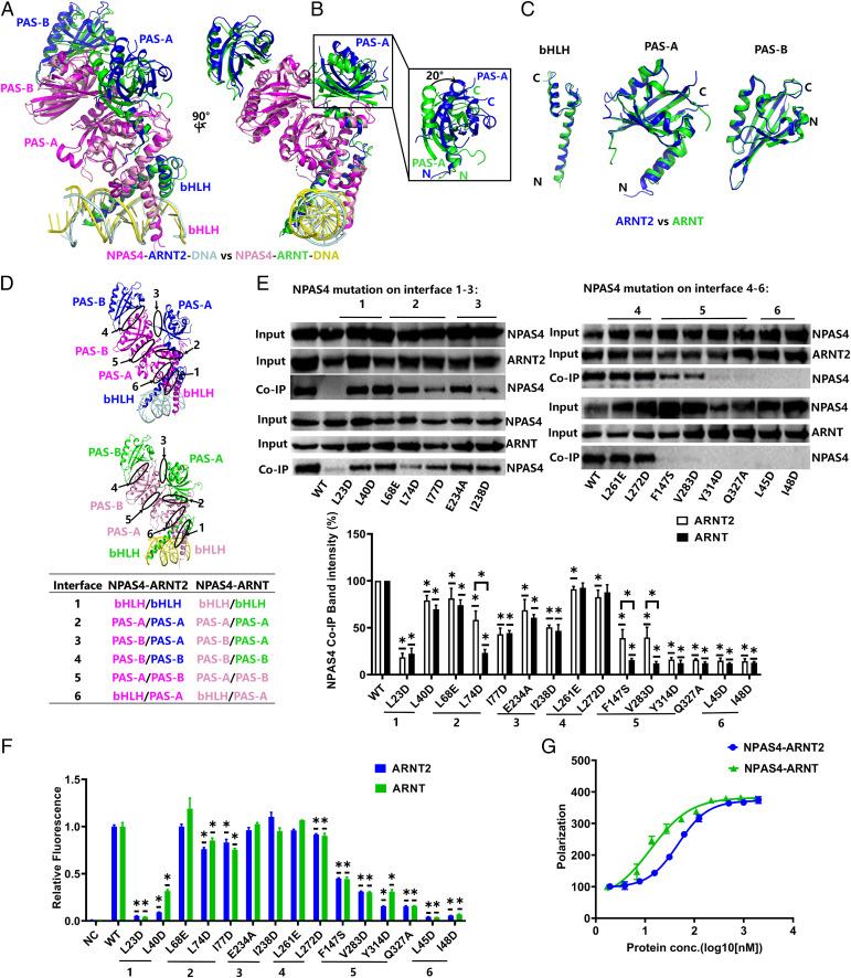 https://cdn.ncbi.nlm.nih.gov/pmc/blobs/be0f/9674253/1f0bc531b9ed/pnas.2208804119fig02.jpg