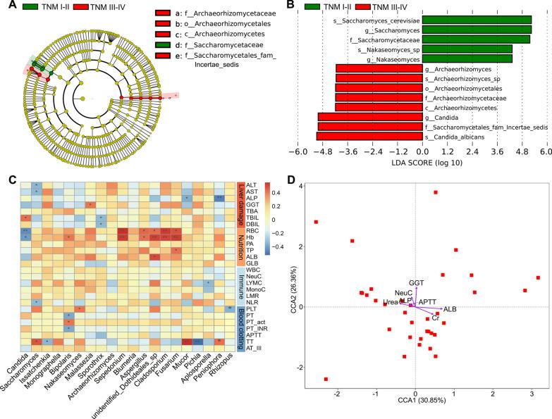 https://cdn.ncbi.nlm.nih.gov/pmc/blobs/be10/9933289/5b058a654811/12967_2023_3940_Fig4_HTML.jpg