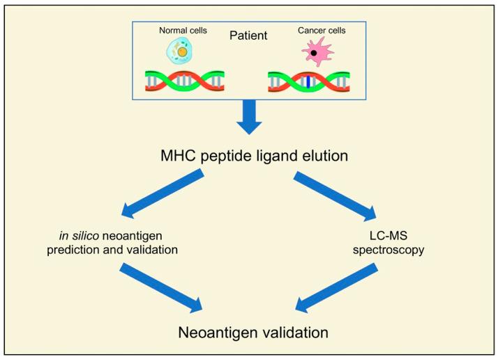 https://cdn.ncbi.nlm.nih.gov/pmc/blobs/be11/10217221/ca2ab2d1d9ce/curroncol-30-00348-g001.jpg