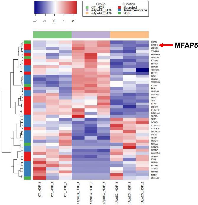 https://cdn.ncbi.nlm.nih.gov/pmc/blobs/be11/10229580/2ccd625d7429/41598_2023_35558_Fig1_HTML.jpg