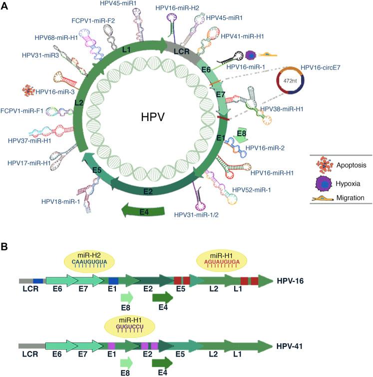 https://cdn.ncbi.nlm.nih.gov/pmc/blobs/be11/9237502/0e0f1578a4c4/fgene-13-886613-g004.jpg