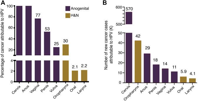 https://cdn.ncbi.nlm.nih.gov/pmc/blobs/be11/9237502/52541b910506/fgene-13-886613-g001.jpg