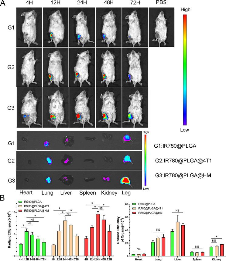 https://cdn.ncbi.nlm.nih.gov/pmc/blobs/be13/11165797/59e52a61ec22/12951_2024_2619_Fig6_HTML.jpg