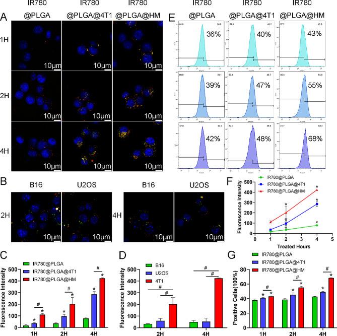 https://cdn.ncbi.nlm.nih.gov/pmc/blobs/be13/11165797/92e336e18c15/12951_2024_2619_Fig2_HTML.jpg