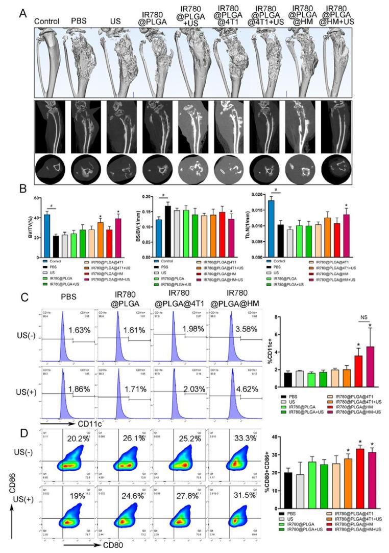 https://cdn.ncbi.nlm.nih.gov/pmc/blobs/be13/11165797/b7101a34ed15/12951_2024_2619_Fig8_HTML.jpg