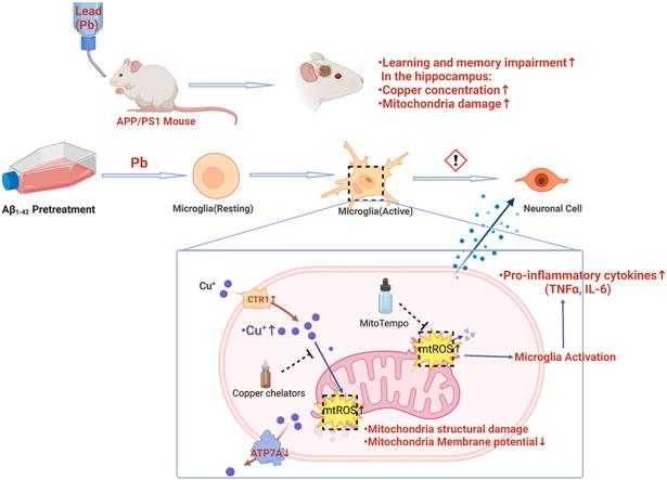 https://cdn.ncbi.nlm.nih.gov/pmc/blobs/be15/10716782/88ce8a279140/ga1.jpg