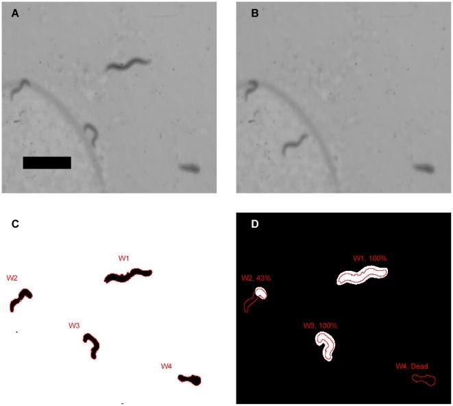 https://cdn.ncbi.nlm.nih.gov/pmc/blobs/be15/3311640/46a6cbf88fbb/pone.0033483.g001.jpg
