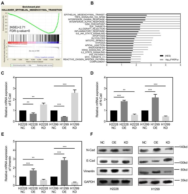 https://cdn.ncbi.nlm.nih.gov/pmc/blobs/be16/6990902/b28c2c2905b4/ijbsv16p0504g003.jpg
