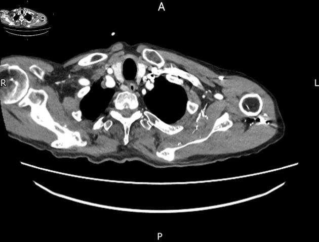https://cdn.ncbi.nlm.nih.gov/pmc/blobs/be18/11287908/fdafb64ba02b/jmc-15-180-g001.jpg