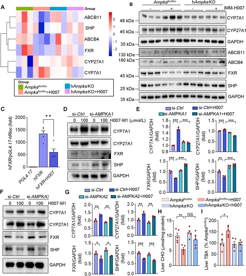 https://cdn.ncbi.nlm.nih.gov/pmc/blobs/be18/12399205/292134265abc/gr6.jpg