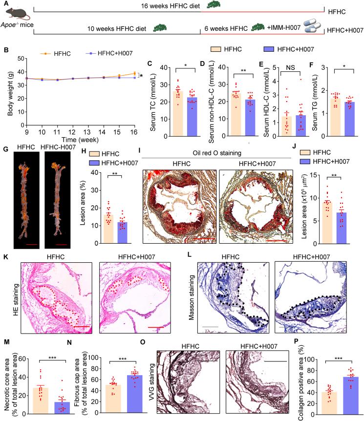 https://cdn.ncbi.nlm.nih.gov/pmc/blobs/be18/12399205/6d4e88497b33/gr1.jpg