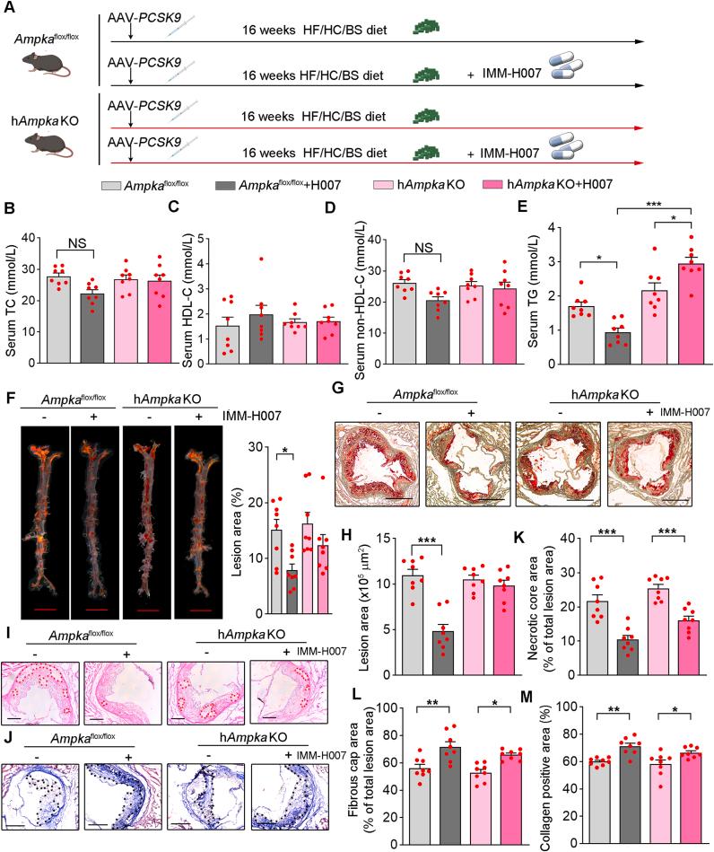https://cdn.ncbi.nlm.nih.gov/pmc/blobs/be18/12399205/d9f76708ccf8/gr8.jpg