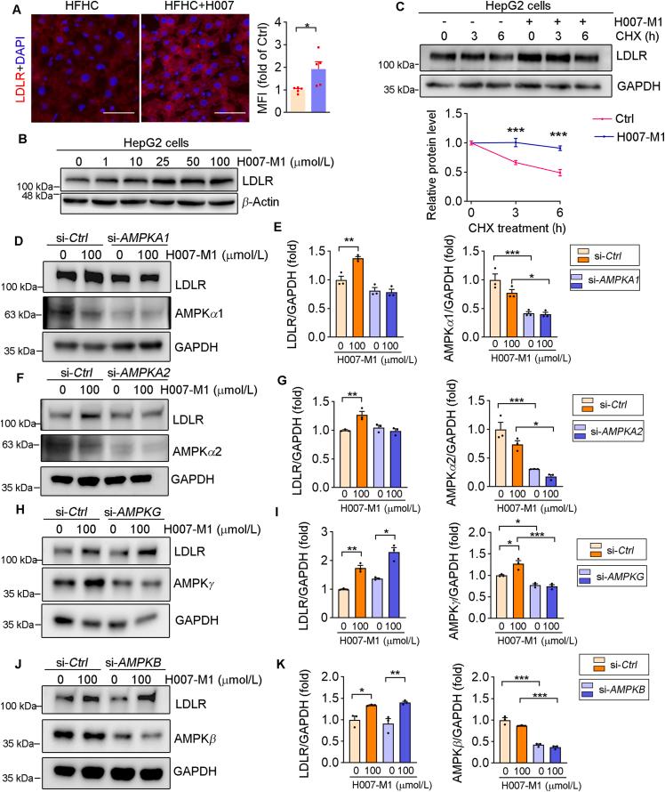 https://cdn.ncbi.nlm.nih.gov/pmc/blobs/be18/12399205/f9e2bc5fe2b2/gr3.jpg