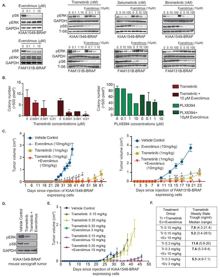https://cdn.ncbi.nlm.nih.gov/pmc/blobs/be19/5689567/61bae59671b7/oncotarget-08-84697-g005.jpg