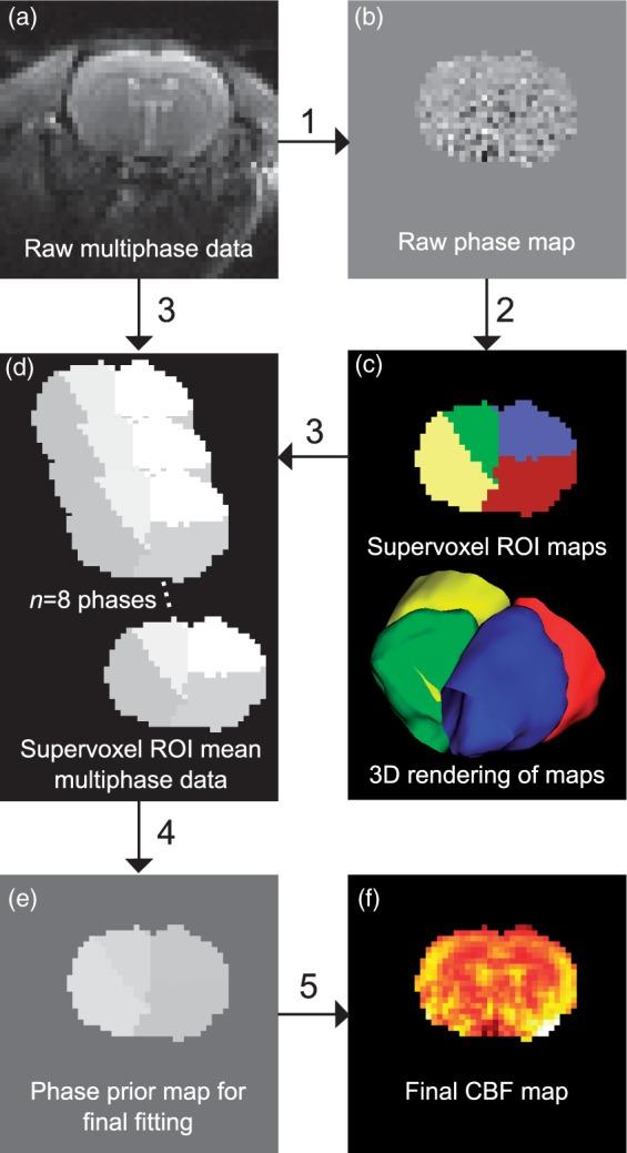 https://cdn.ncbi.nlm.nih.gov/pmc/blobs/be19/6681537/228a6458f954/10.1177_0271678X18756218-fig2.jpg