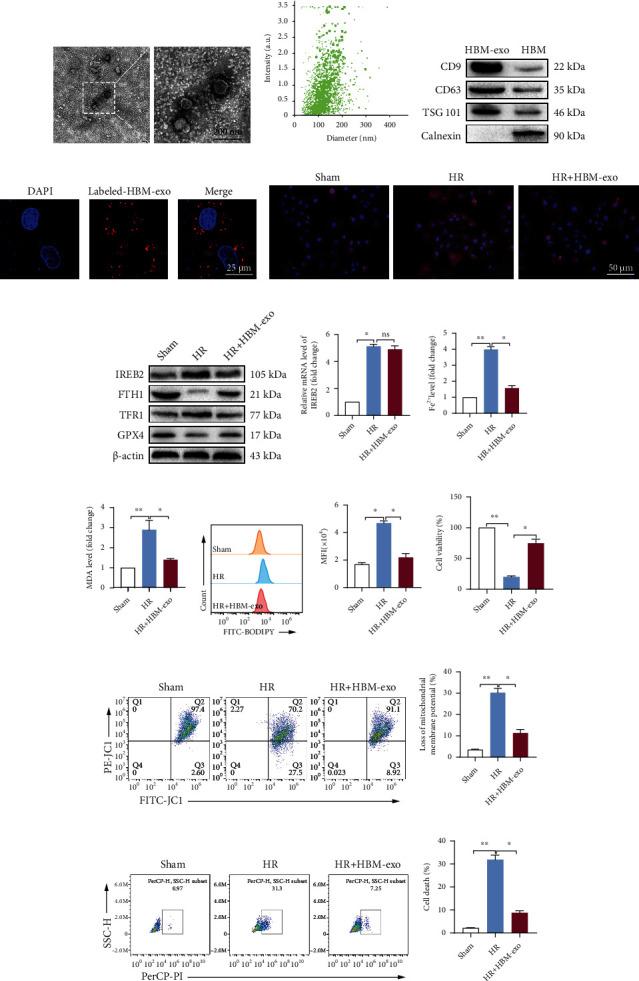 https://cdn.ncbi.nlm.nih.gov/pmc/blobs/be1c/9203237/e3c7d6bd6026/OMCL2022-6520789.006.jpg