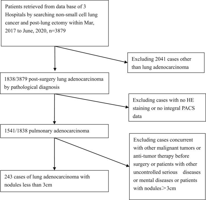 https://cdn.ncbi.nlm.nih.gov/pmc/blobs/be1d/9359870/3610d4dcc020/CAM4-11-2969-g006.jpg